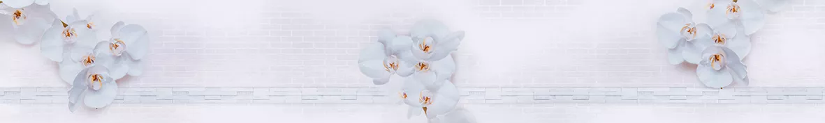 7042